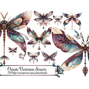Libellules victoriennes décoratives et papillons, Bourgogne pêche sarcelle bleu vert, Images PNG à téléchargement numérique numérique Clip Art