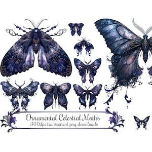 Celestial Moth Clip Art, Ornamental Azul Preto Roxo PNG Borboleta Inseto Sobreposições Arte Digital Download Instantâneo 300 DPI Imagens PNG