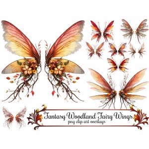 Woodland Fantasy Fairy Wings-illustraties, PNG-overlays Digitale kunst Instant Download 300 DPI PNG-afbeeldingen, kanten rode, oranje en gele bloemen