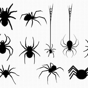 Halloween Spider SVG, Spider Png, Spider Clipart, Halloween Svg, Halloween Spider Bundle, Files for Cricut, Spider Cut Files