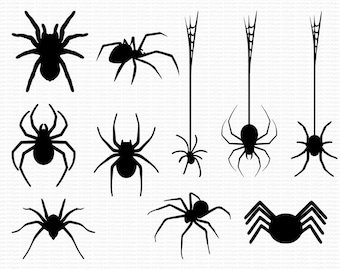 Bundle SVG Araignée d'Halloween : fichiers de coupe Cricut, clipart PNG