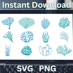 Op de afbeelding: Een digitale illustratie van 12 verschillende soorten koralen en zeewier in blauw en groen. De afbeelding wordt weergegeven op een laptopscherm met de tekst "SVG PNG" op het toetsenbord.