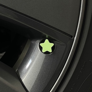 May include: A light green star-shaped valve stem cap.