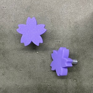 Boulons de fleur de cerisier, accessoires de voiture personnalisés, boulons de plaque d&#39;immatriculation pour voiture (Lot de 2)