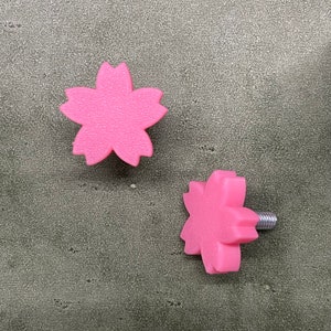 Boulons de fleur de cerisier, accessoires de voiture personnalisés, boulons de plaque d&#39;immatriculation pour voiture (Lot de 2)