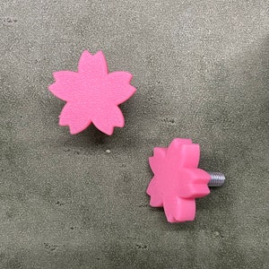 Sakura Flower Cherry Blossom, Custom Car Accessories, License Plate Bolts for Car (Set of 2)