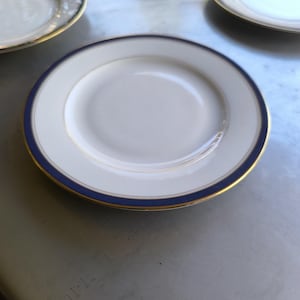 8 porcelain plates from Limoges France.
