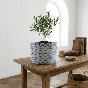 May include: A potted olive tree in a cylindrical planter with a blue and white patterned design. The planter sits on a rustic wooden table, with books and a small bowl nearby. The room has a bright, airy feel.