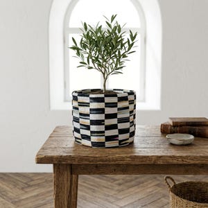 May include: A small olive tree in a decorative planter. The planter has a geometric pattern of black, white, and yellow stripes and squares. The tree sits on a wooden table near a window.