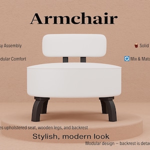 Zebra design armchair, Furniture chair, Gothic chair, Small space decor, Rustic armchair, Elegant lounge chair, Boho chic chair, DCP 491