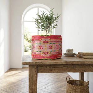 A potted plant with green leaves sits on a wooden table, accompanied by a basket and a stack of books. The room has a white wall and a window, creating a serene and inviting atmosphere.