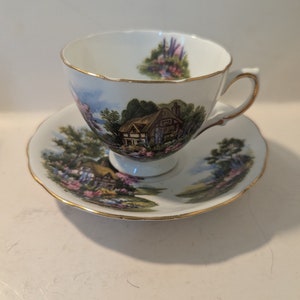Royal Vale Bone China F 767 England Teacup and Saucer Set