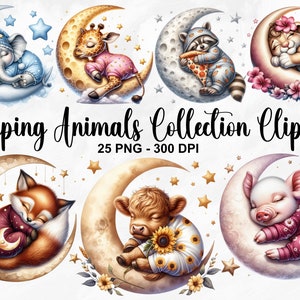Aquarel slapende dieren collectie clipart, 25 PNG Safari dieren clipart, slapende dieren clipart, Safari baby dier, commercieel gebruik
