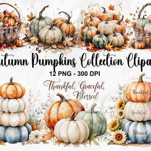 Autumn Pumpkin Sunflower PNG Clipart Set, Fall Harvest Thanksgiving Sublimation, Rustic Fall Season PNG, Autumn Floral Pumpkin Clipart