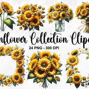 Aquarelle tournesol Collection Clipart, 24 PNG tournesols Clipart, Clipart fleurs de printemps, Bouquet floral, tournesol PNG, usage Commercial