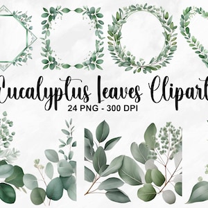 Aquarell Eukalyptus Blätter Clipart, 24 PNG Grüne Blätter Clipart, Eukalyptus Eckrand, Eukalyptus Dusche Greenery Set, kommerzielle Nutzung