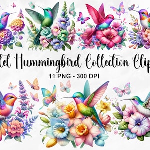 Clipart de coleção de beija-flor em aquarela, 11 PNG clipart de pássaro pastel, PNG de beija-flor, arte de parede de berçário, arte de beija-flor, uso comercial