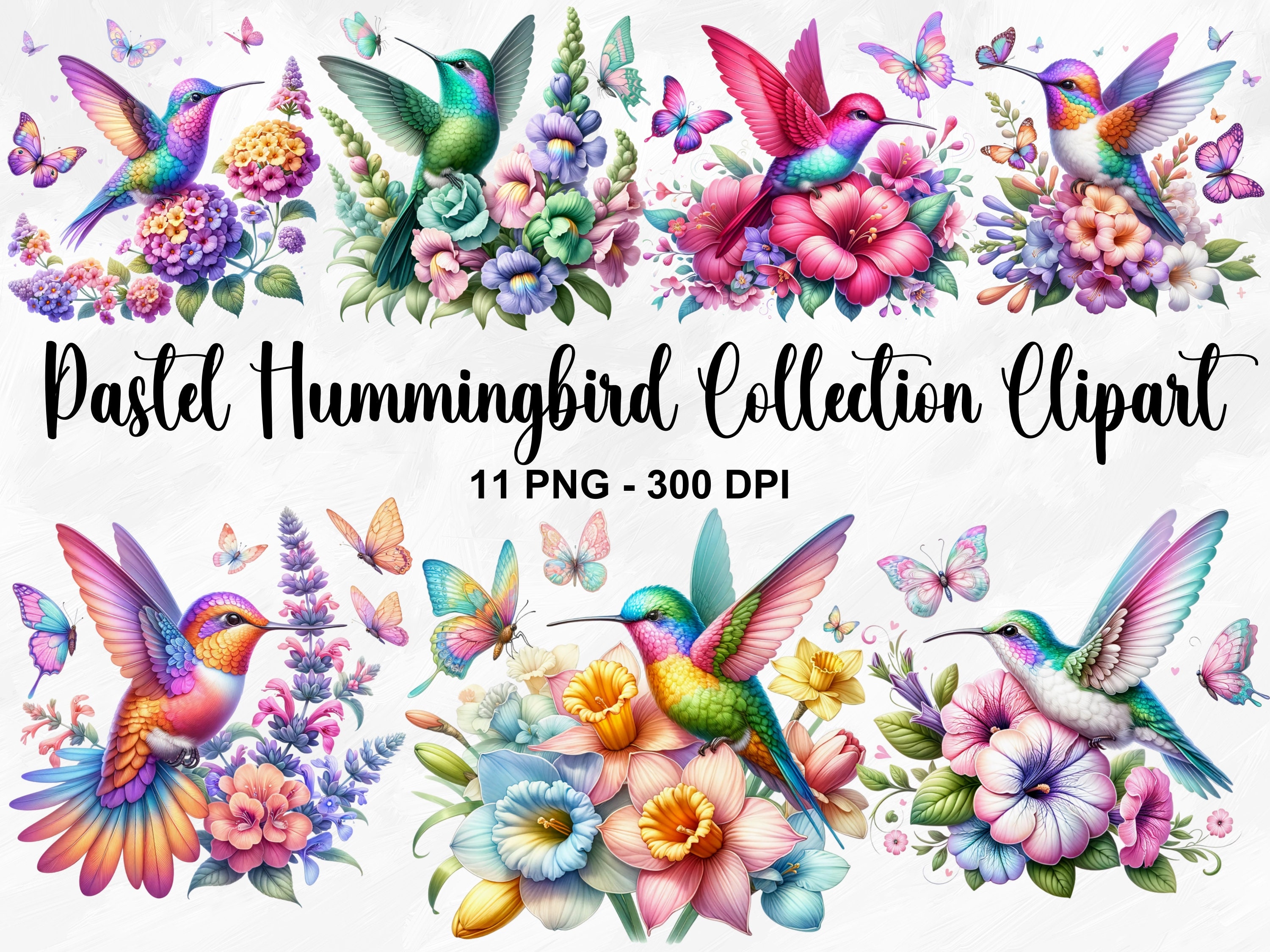 Pájaro morado - Etsy México, image size:3000x2250