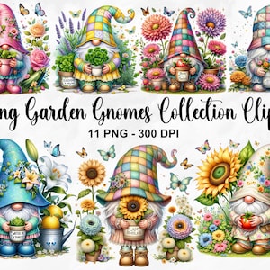 Acuarela Spring Garden Gnomes Clipart, 11 PNG Garden Gnome Clipart, Spring Garden Clipart, Spring Gnome Bundle, Gnomos PNG, Uso comercial