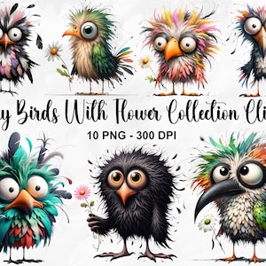Imágenes prediseñadas de la colección de pájaros divertidos de acuarela, 10 imágenes prediseñadas de animales extravagantes PNG, ilustraciones de pájaros extravagantes, imágenes prediseñadas de pájaros caprichosos, uso comercial