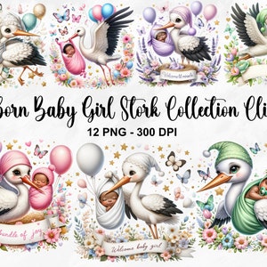 Aquarel pasgeboren baby meisje Stork collectie clipart, 12 PNG Stork baby meisje clipart, Stork baby clipart, pasgeboren baby PNG, commercieel gebruik