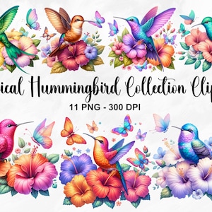 Aquarell Tropisches Kolibri Clipart, 11 PNG Pastell Vogel Clipart, Hibiskus Clipart, Kolibri PNG, Kinderzimmer-Wandkunst, kommerzielle Nutzung