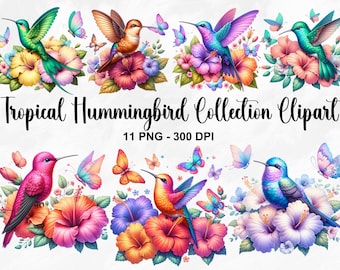 May include: A collection of 11 digital clipart images featuring colorful hummingbirds perched on tropical flowers. The hummingbirds are depicted in various poses, with vibrant plumage and intricate details. The flowers are lush and vibrant, with delicate petals and leaves. The images are perfect for adding a touch of tropical beauty to your designs.