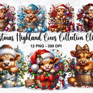 Aquarel kerst hooglandkoeien clipart, 12 PNG kerst clipart, kerst hooglandkoeien in emmer, schattige kerstkoeien, commercieel gebruik