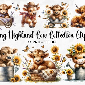 Watercolor Spring Highland Cow Clipart, 11 PNG Cow Print Clipart, Baby Highland Cow Clipart, Baby Animals Clipart, Cow Art, Commercial Use