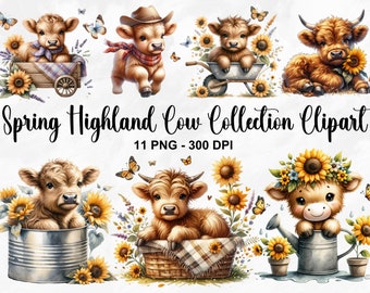 Acquerello primavera Highland mucca Clipart, 11 PNG stampa mucca Clipart, Baby Highland mucca Clipart, Baby Animals Clipart, mucca arte, uso commerciale