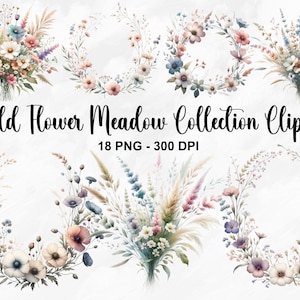 Acuarela Wild Flower Meadow Collection Clipart, 18 PNG elegantes flores prediseñadas, imágenes prediseñadas de flores silvestres botánicas, flor PNG, uso comercial