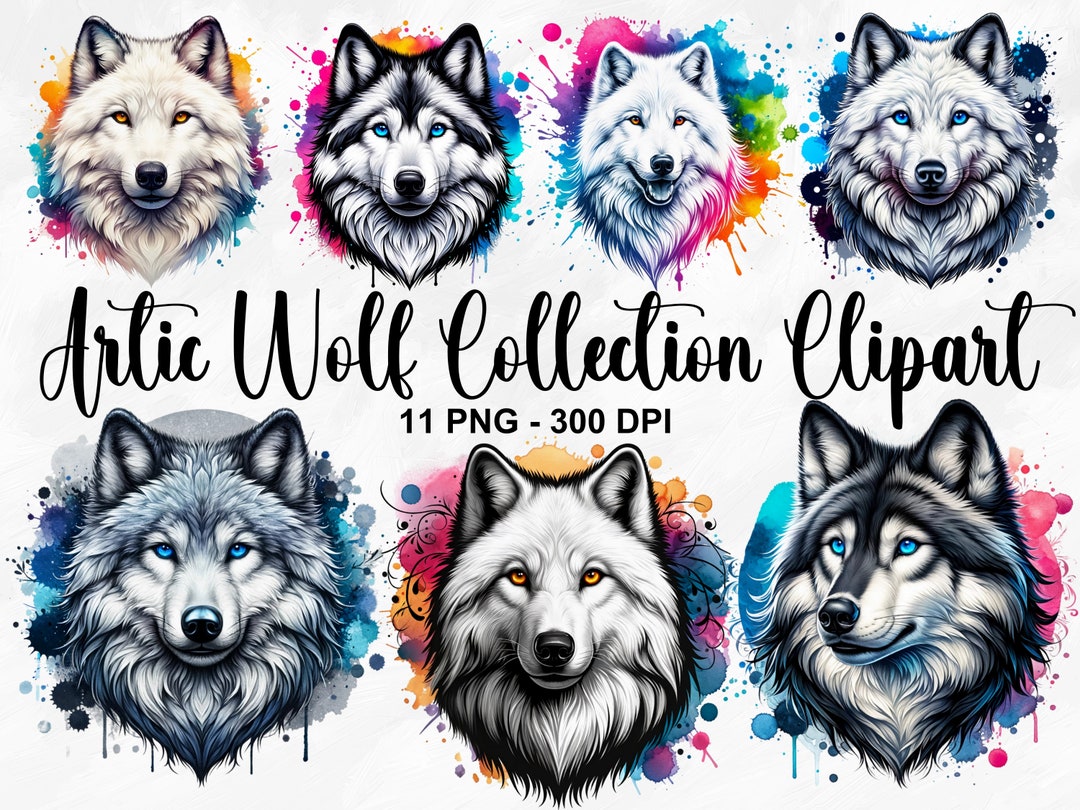 Painted Wolves Collection Watercolor Artic Wolf Collection Clipart, 11 PNG Wolf Clipart, Winter ...