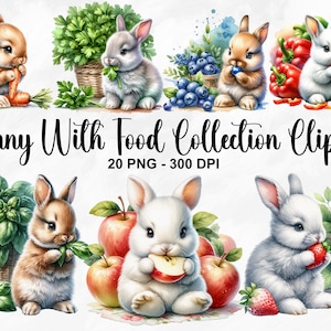 Watercolor Bunny With Food Collection Clipart, 20 PNG Bunny Clipart, Fluffy Bunny Clipart, Rabbit PNG, Cute Bunny Clipart, Commercial Use