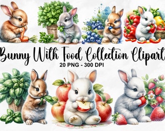 Watercolor Bunny With Food Collection Clipart, 20 PNG Bunny Clipart, Fluffy Bunny Clipart, Rabbit PNG, Cute Bunny Clipart, Commercial Use