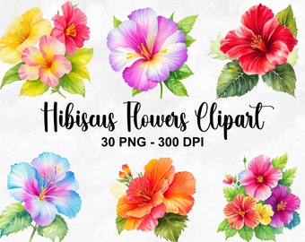 Watercolor Hibiscus Flowers Clipart, 30 PNG Hibiscus Clip Art, Hawaiian Flower Png, Tropical Clipart, Hibiscus Flower Bundle, Commercial Use