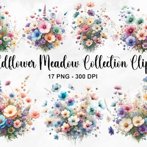 Clipart de coleção de prado de flores silvestres em aquarela, 17 clipart de flores silvestres PNG, clipart floral de flores silvestres, flores de outono de verão, uso comercial