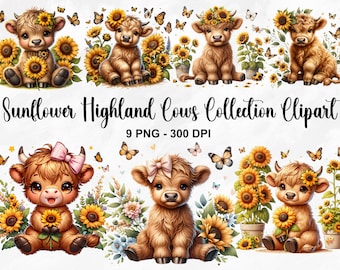 Clipart di raccolta di mucche dell'altopiano del girasole dell'acquerello, 9 clipart di fiori primaverili PNG, animale del bambino, pacchetto di clipart della mucca del bambino, uso commerciale