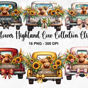 Vache Highland tournesol PNG, 16 vache Highland et fleurs PNG, Clipart camion tournesol, sublimation vache Highland, Clipart tournesol aquarelle