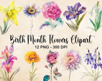 Acuarela Boho Nacimiento Mes Flores Clipart, 12 PNG Nacimiento Flores Clipart, Acuarela Flor de Nacimiento, Descarga Instantánea, Uso Comercial