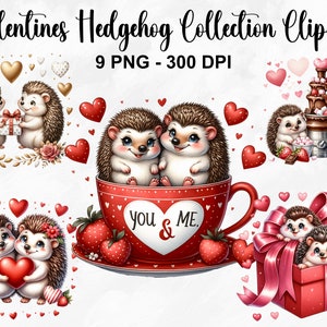 Aquarelle hérisson Collection des cliparts, 9 PNG Saint-Valentin Clipart, Clipart hérisson mignon, animaux romantiques, usage Commercial