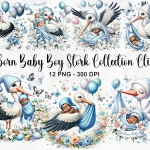 Aquarel pasgeboren baby jongen Stork collectie clipart, 12 PNG Stork baby jongen clipart, Stork baby clipart, pasgeboren baby PNG, commercieel gebruik
