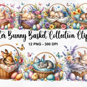 Easter Bunny Basket collectie clipartbundel, 12 PNG Pasen clipart, Easter Graphics, Bunny, Easter Bunny clipartbundel, commercieel gebruik