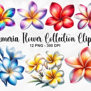 Aquarell Plumeria Blumensammlung Clipart, 12 PNG Sommer Blumen Clipart, Frühling Plumeria Blume, Tropische Blumen PNG, kommerzielle Nutzung