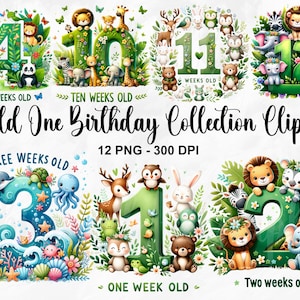 Wild One, Wild One Geburtstag, 1. Geburtstag Safari Dschungeltier Kinder Design Aquarell Effekt T-Shirt Design PNG, Neugeborene Png, kommerzielle Nutzung