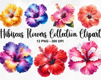 Watercolor Hibiscus Flowers Collection Clipart, 12 PNG Summer Flowers Clipart, Hibiscus Flower Clipart, Tropical Flowers, Commercial Use