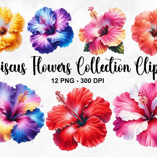 Watercolor Hibiscus Flowers Collection Clipart, 12 PNG Summer Flowers Clipart, Hibiscus Flower Clipart, Tropical Flowers, Commercial Use