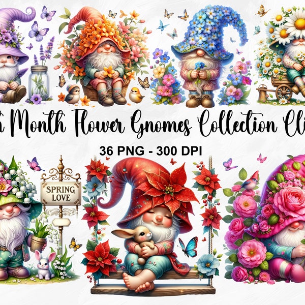 Watercolor Birth Month Flower Gnomes Clipart, 36 PNG Garden Gnome Clipart, Mothers Day Gnomes, Spring Gnomes, Gnomes PNG, Commercial Use