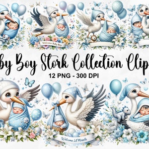 Aquarel Baby Boy Stork collectie clipart, 12 PNG Stork baby boy clipart, pasgeboren baby jongen clipart, baby aankomst PNG, commercieel gebruik