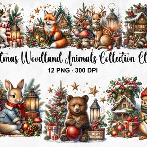 Coleção de animais da floresta de Natal em aquarela Clipart, 12 PNG Clipart de Natal, Amigos da floresta, Animais de Natal PNG, Uso comercial
