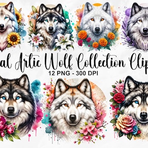 Aquarela Floral Artic Wolf Clipart, 12 PNG Polar Wolf Clipart, Spring Wolf Clipart, Artic Wolf Clipart, Wildlife PNG, Uso Comercial